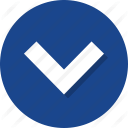 Go down arrow icon